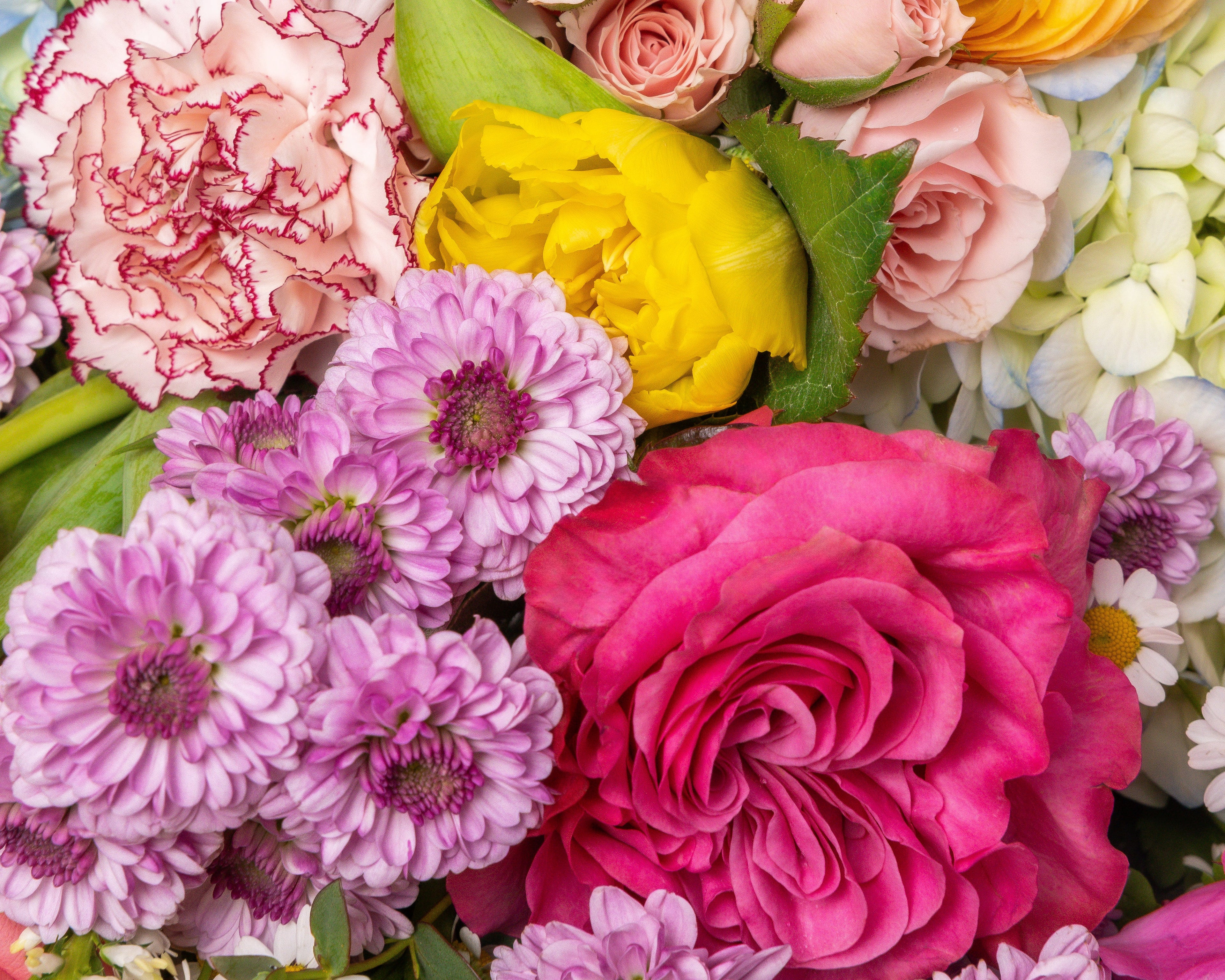 Carnation Bouquets