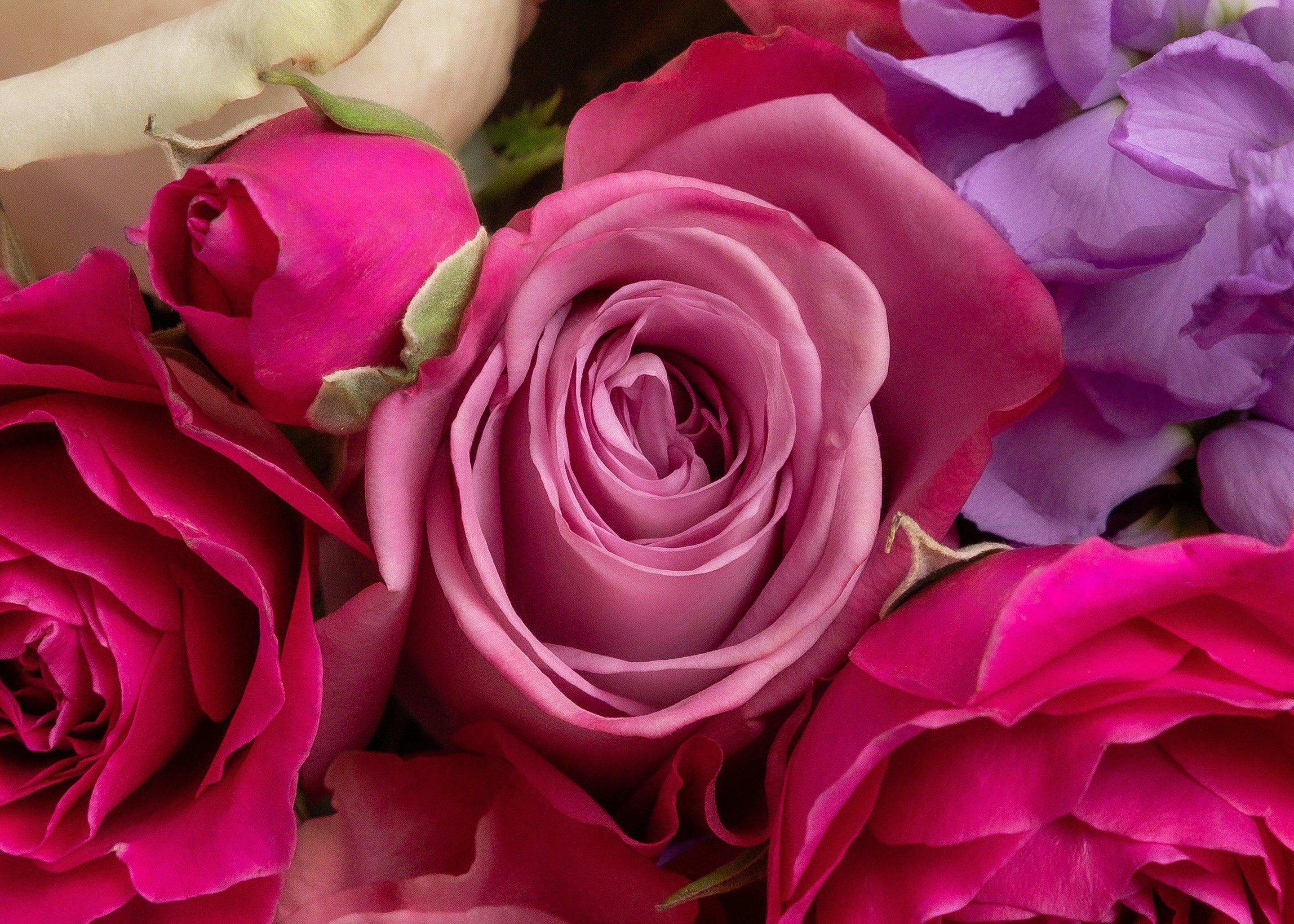 Plano Florist | Flower Delivery Nearby