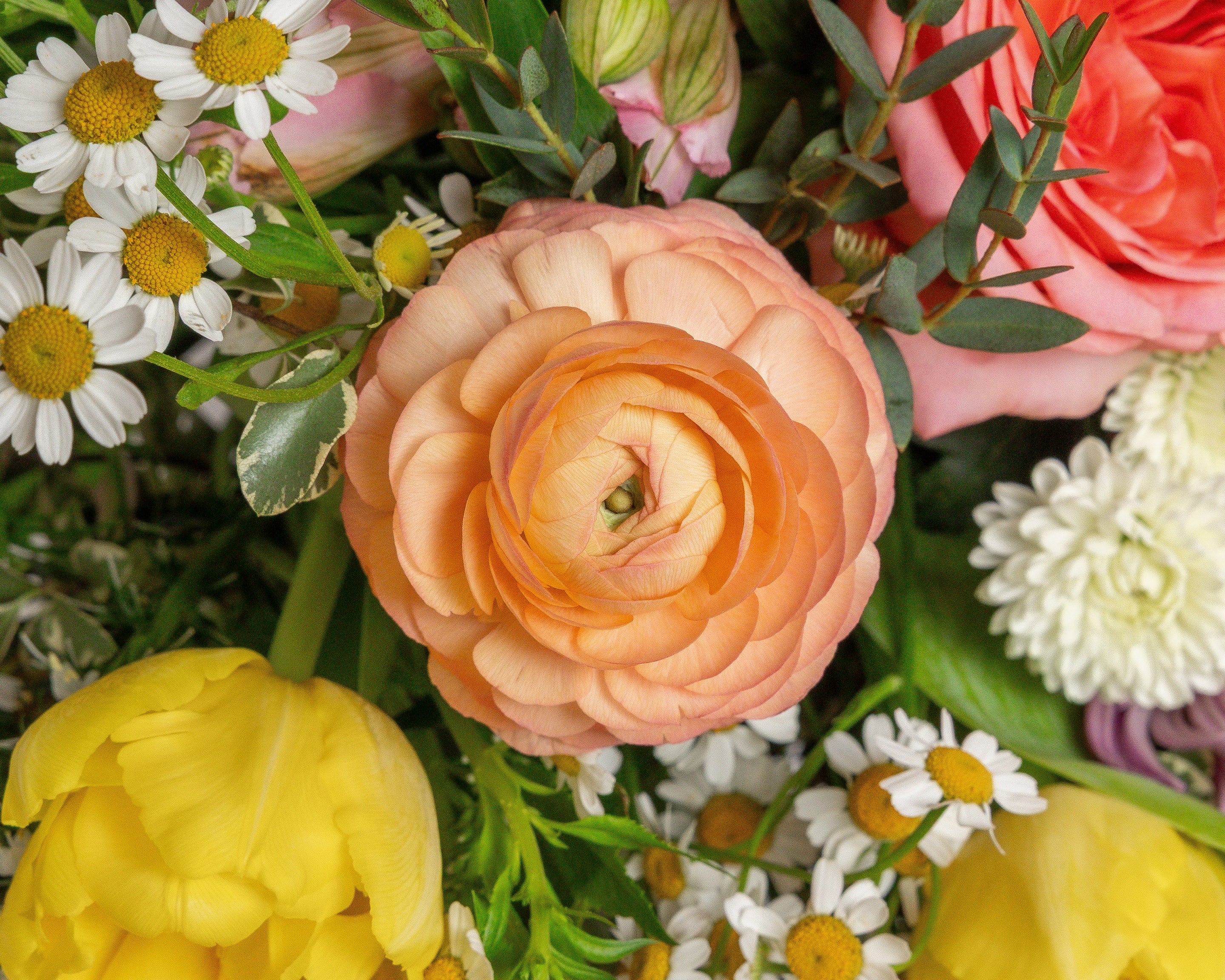 Irving Florist | Flower Delivery Nearby