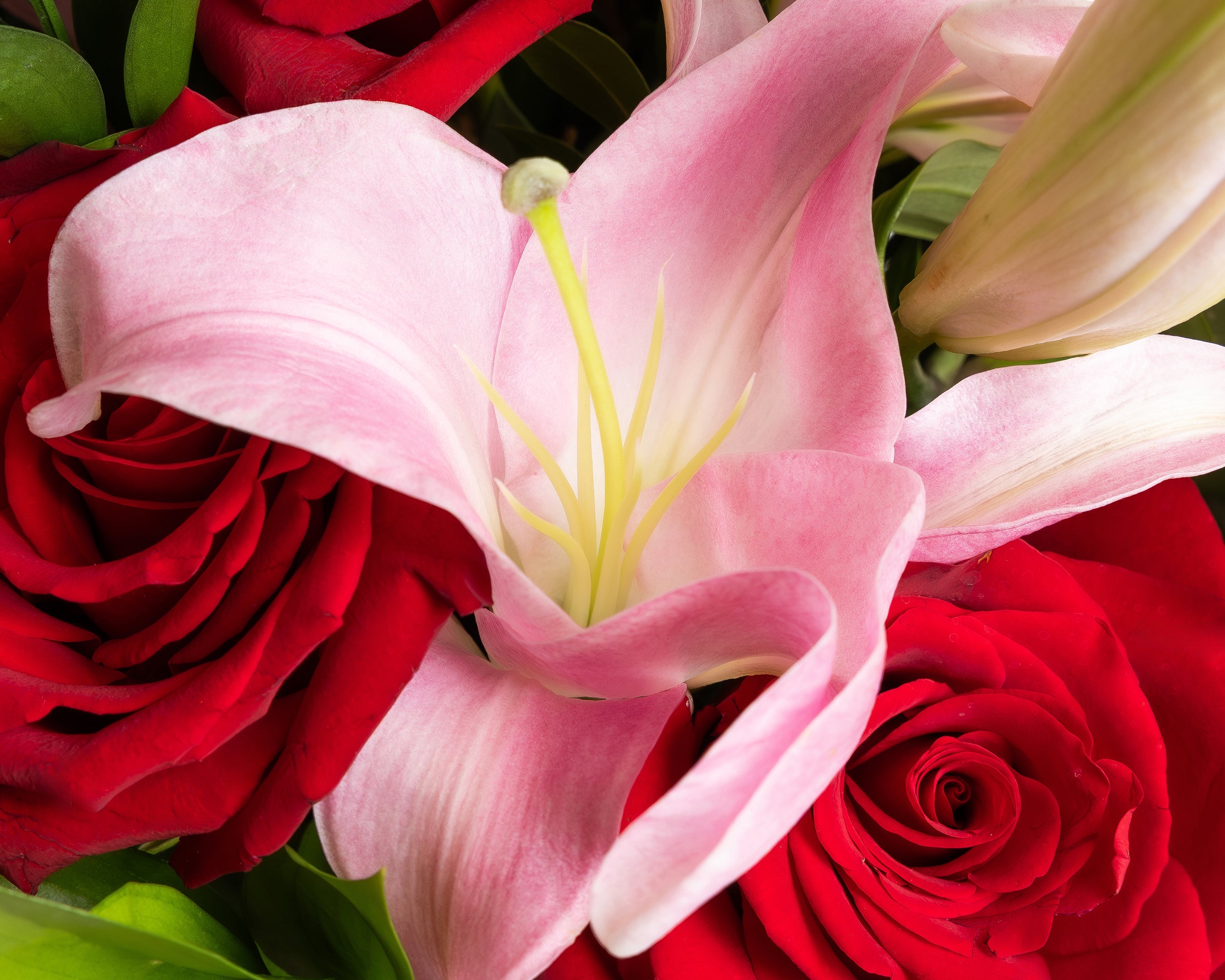 Buckingham Florist | Buckingham Dallas Flower Delivery Near Me