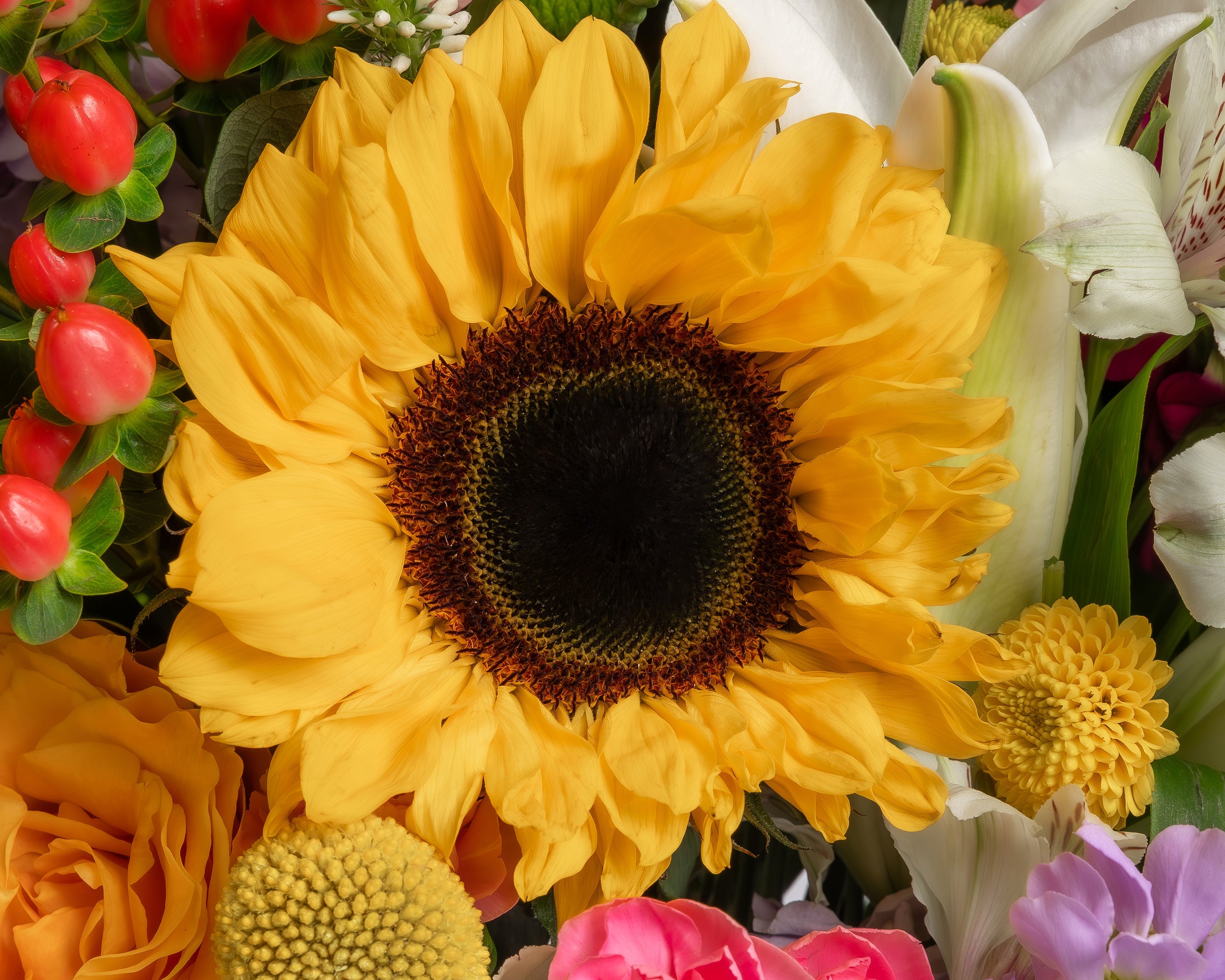 Mesquite Florist | Dallas Flower Delivery Presch Petals