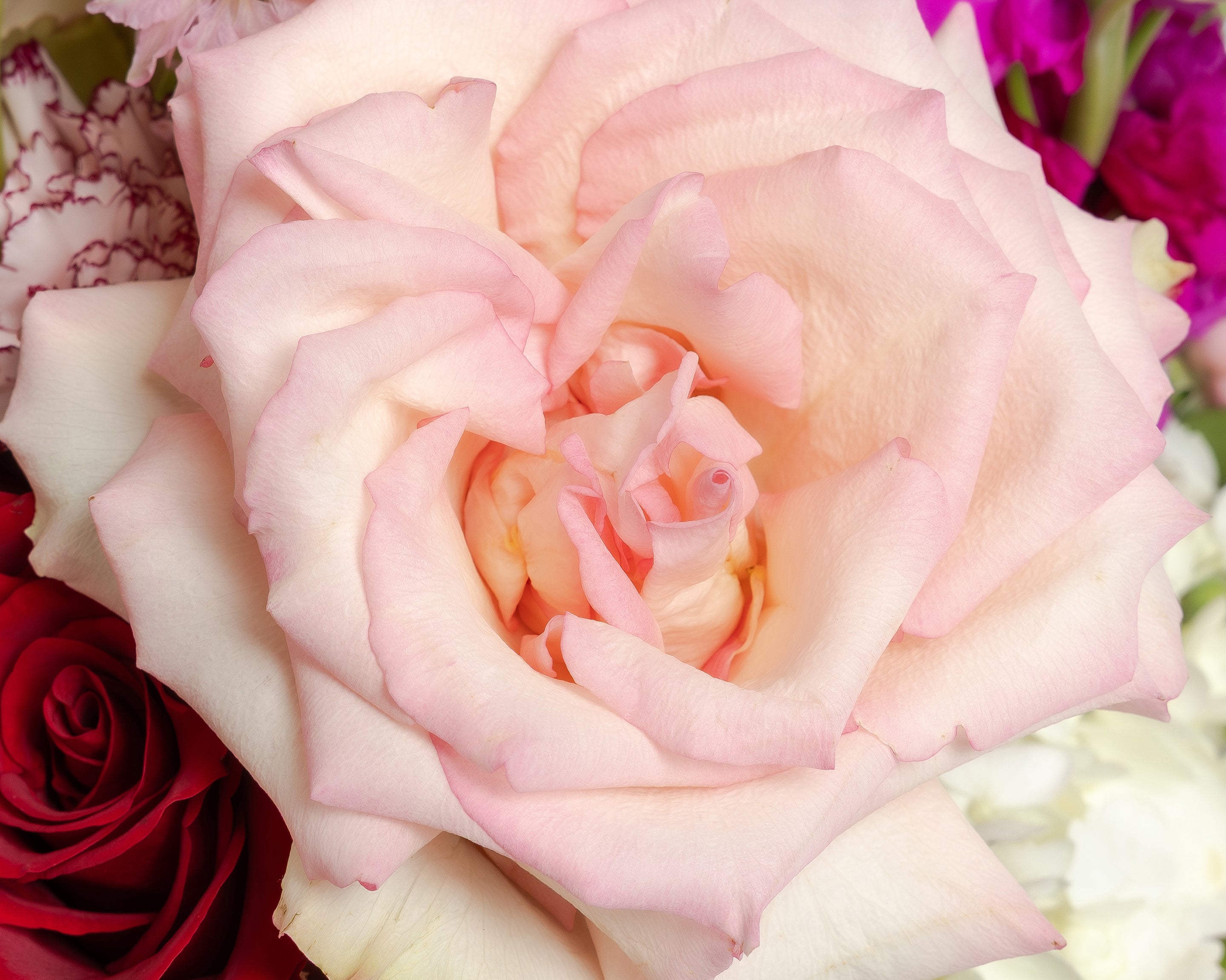 Hotel Swexan Flower Delivery | Dallas Florist Presch Petals