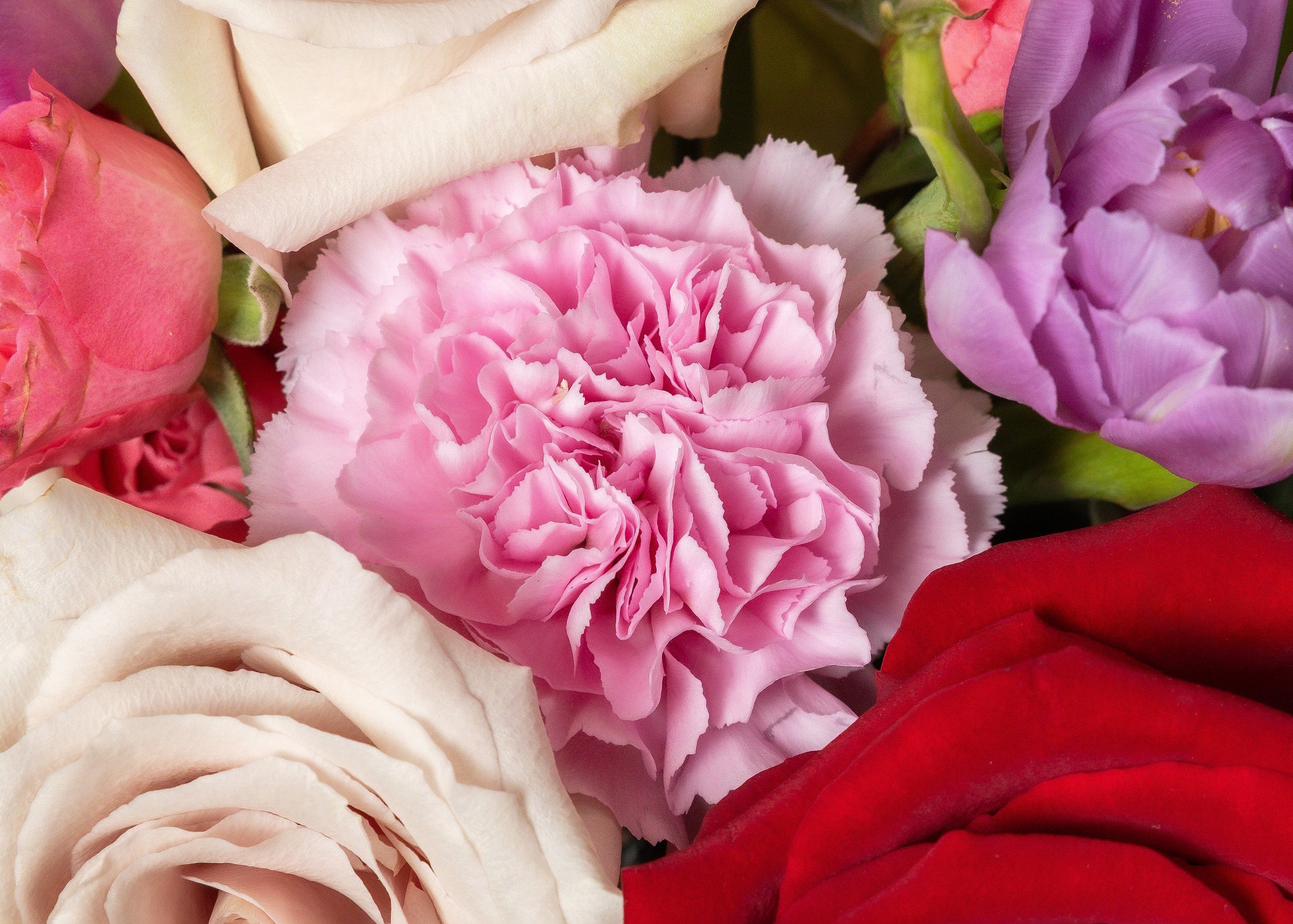UT Southwestern Medical Center Flower Delivery | Presch Petals Dallas Florist