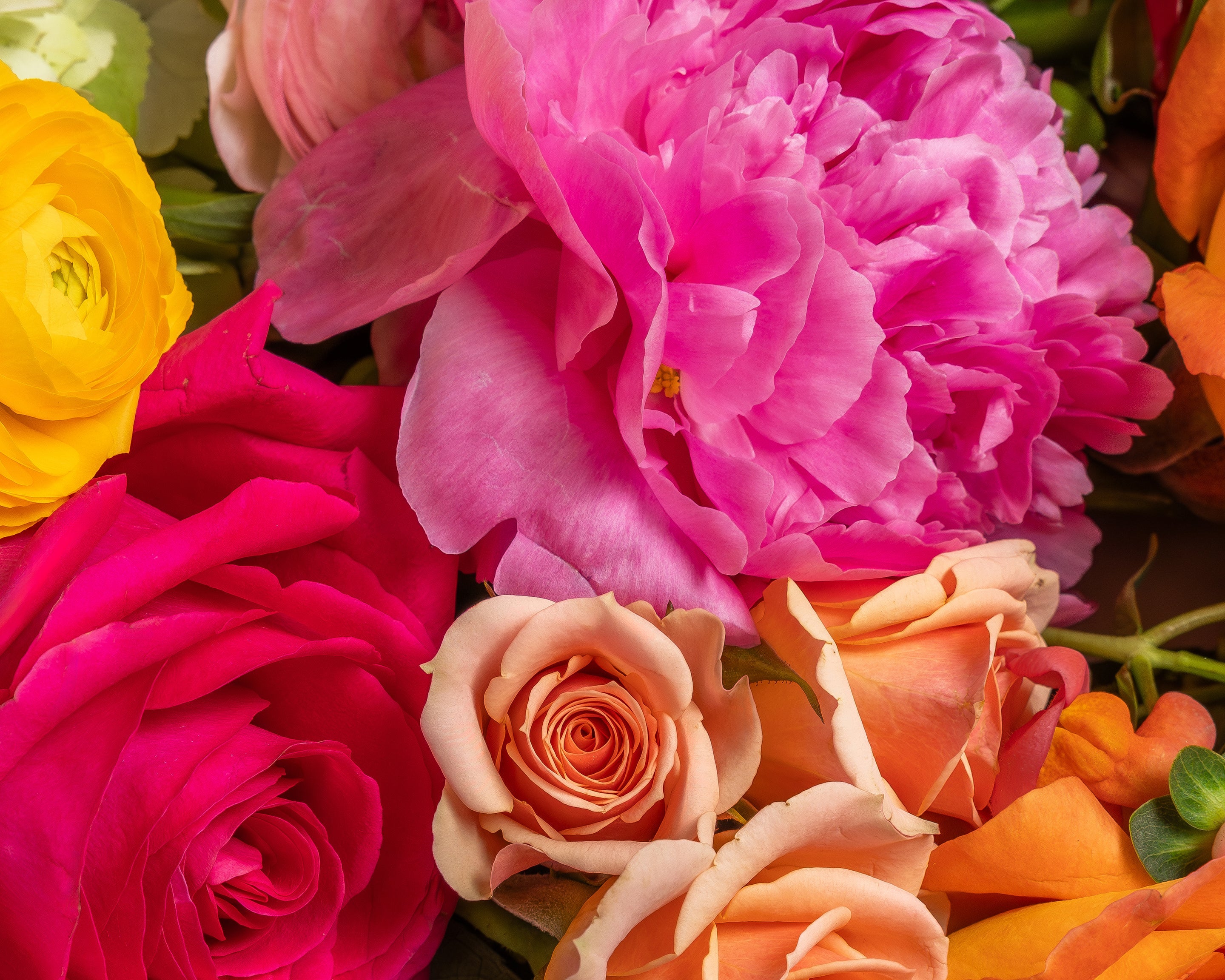 Preston Hollow Dallas Florist | Presch Petals Flower Delivery