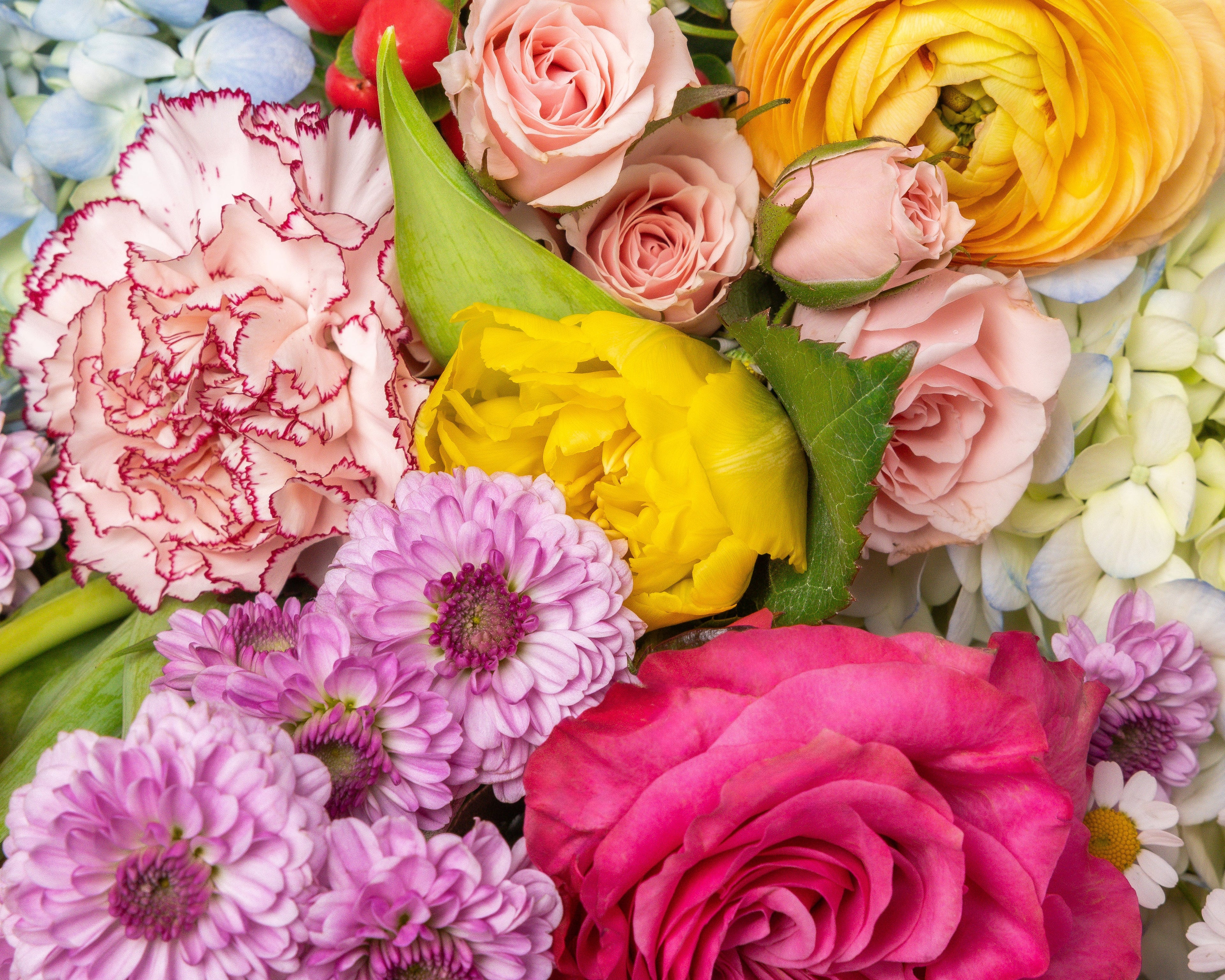 Carrollton Florist | PRESCH Petals Dallas Flower Delivery 