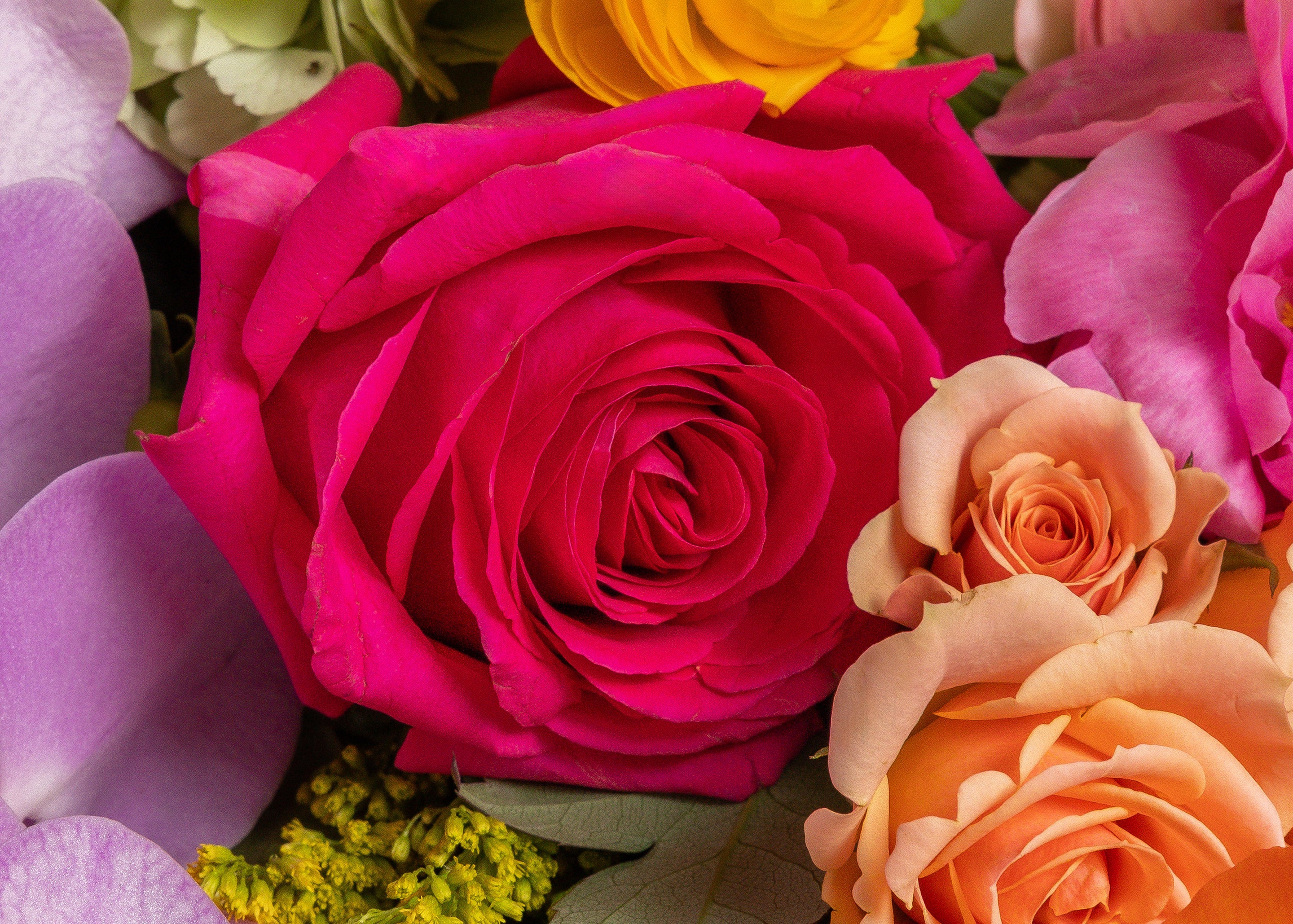 Lancaster Florist | Dallas Flower Delivery Presch Petals