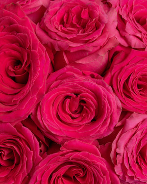 Adore Pink Arrangement | Presch Petals Flower Delivery Dallas