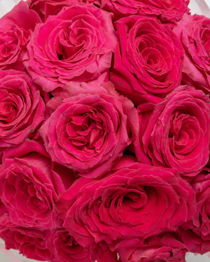 Adore Pink Arrangement | Presch Petals Flower Delivery Dallas