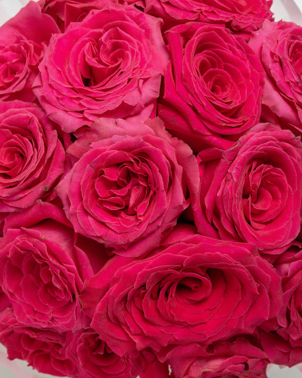 Adore Pink Arrangement | Presch Petals Flower Delivery Dallas