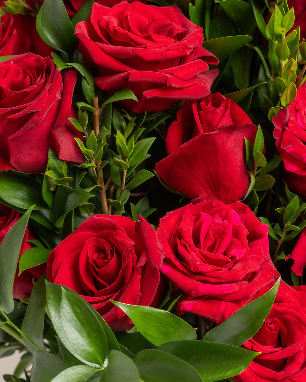 All Crimson Rose Flower Arrangement | Presch Petals Flower Delivery Dallas