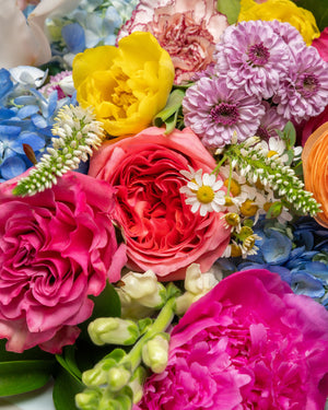 Bellisima Bouquet | Presch Petals Dallas Luxury Florist