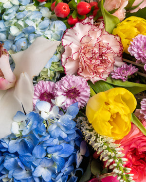 Bellisima Bouquet | Presch Petals Dallas Luxury Florist