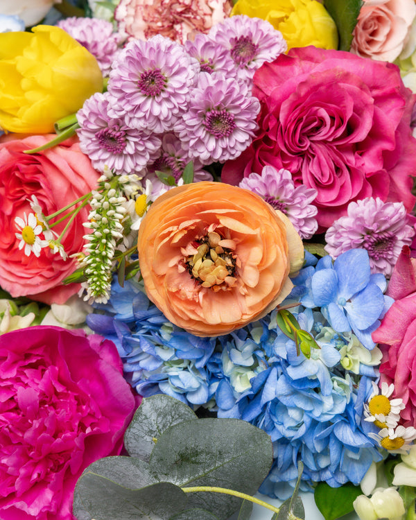 Bellisima Bouquet | Presch Petals Dallas Luxury Florist