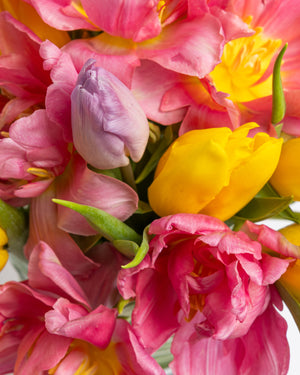 Blooming Peony Tulips Arrangement | Presch Petals Dallas Florist