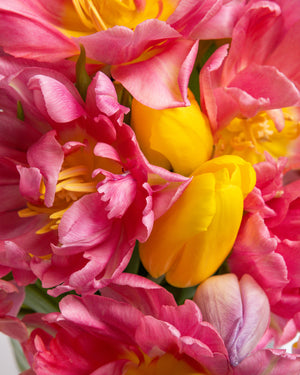 Blooming Peony Tulips Arrangement | Presch Petals Dallas Florist
