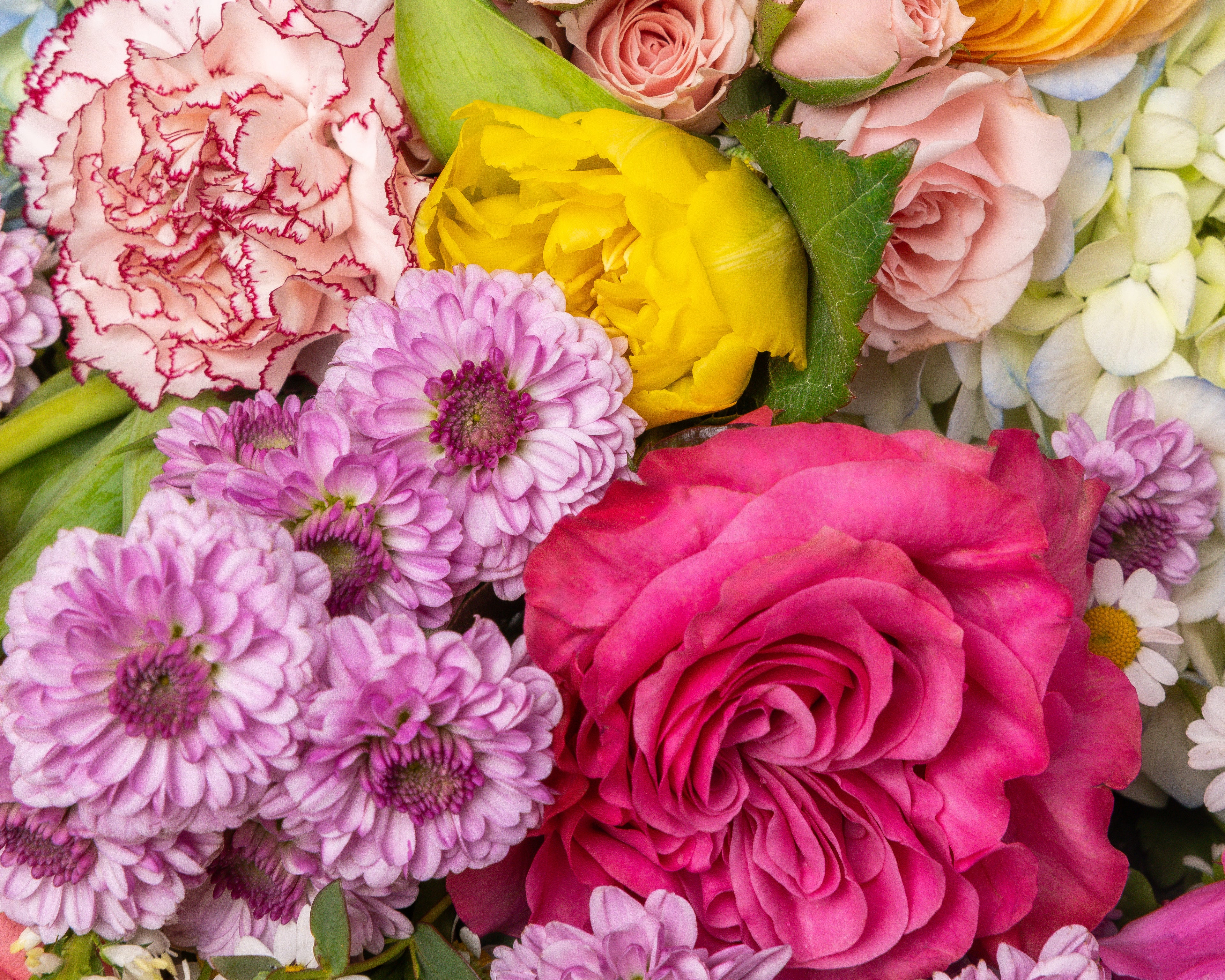 Presch Petals | Dallas Florist | Flower Delivery Dallas