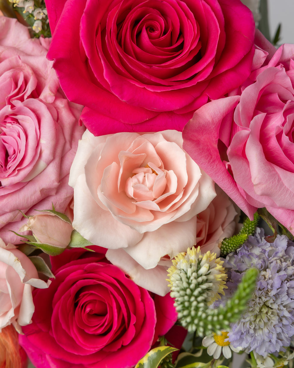 Darling Arrangement with Ceramic Vase | Presch Petals Dallas Florist