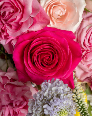 Darling Arrangement with Ceramic Vase | Presch Petals Dallas Florist