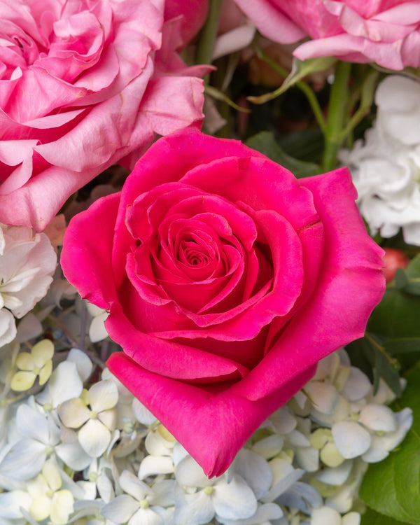 Darling Arrangement with Ceramic Vase | Presch Petals Dallas Florist