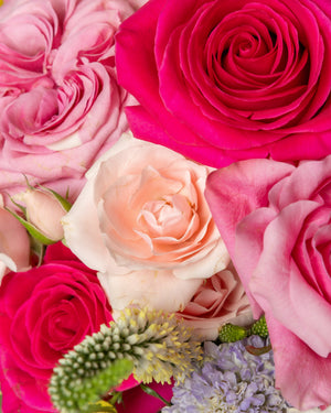 Darling Arrangement with Ceramic Vase | Presch Petals Dallas Florist