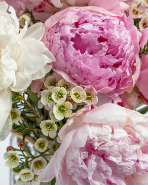 First Blush Peony Flower Arrangement | Presch Petals Flower Delivery Dallas