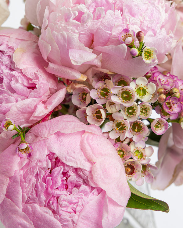 First Blush Peony Flower Arrangement | Presch Petals Flower Delivery Dallas