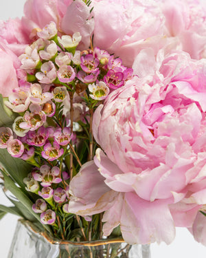 First Blush Peony Flower Arrangement | Presch Petals Flower Delivery Dallas