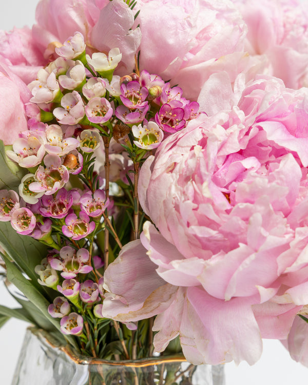 First Blush Peony Flower Arrangement | Presch Petals Flower Delivery Dallas