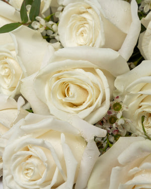 French Vanilla Playa Blanca Rose Bouquet | Presch Petals Dallas Florist