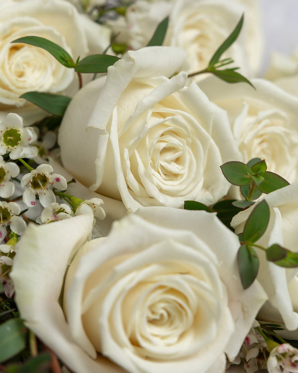 French Vanilla Playa Blanca Rose Bouquet | Presch Petals Dallas Florist