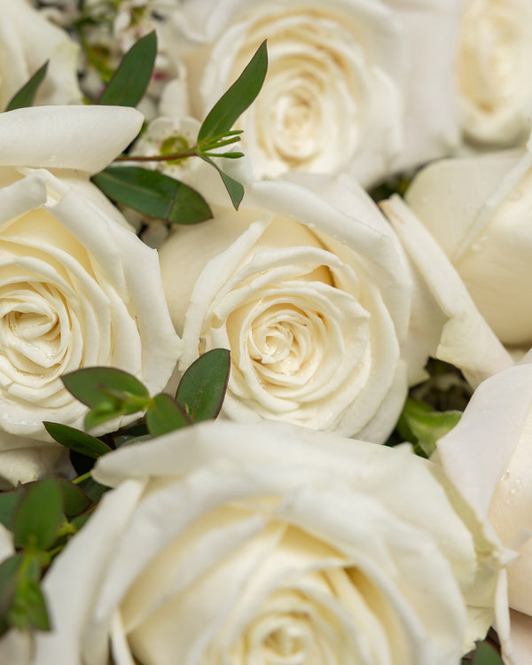 French Vanilla Playa Blanca Rose Bouquet | Presch Petals Dallas Florist