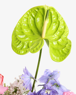 Garden Party Arrangement