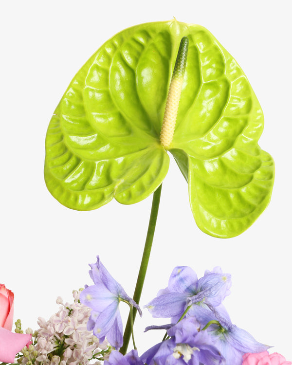 Garden Party Arrangement