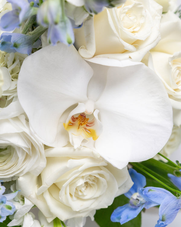 Homecoming and Prom Bouquet | Presch Petals Flower Bouquet Delivery Dallas