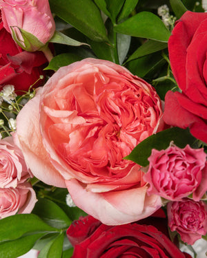 La Vie En Rose Floral Arrangement | Presch Petals Flower Bouquet Delivery Dallas