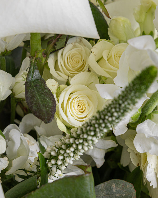 Sympathy Arrangement | Presch Petals | Funeral & Sympathy Flowers Dallas
