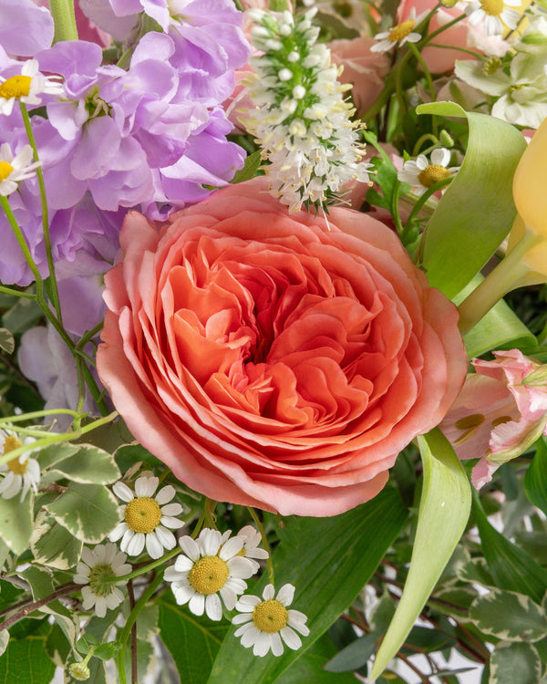 Lovely Lady Floral Arrangement | Presch Petals Flower Delivery Dallas