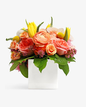 Mama Mia Arrangement | PRESCH Petals Mothers Day Flower Delivery Dallas 