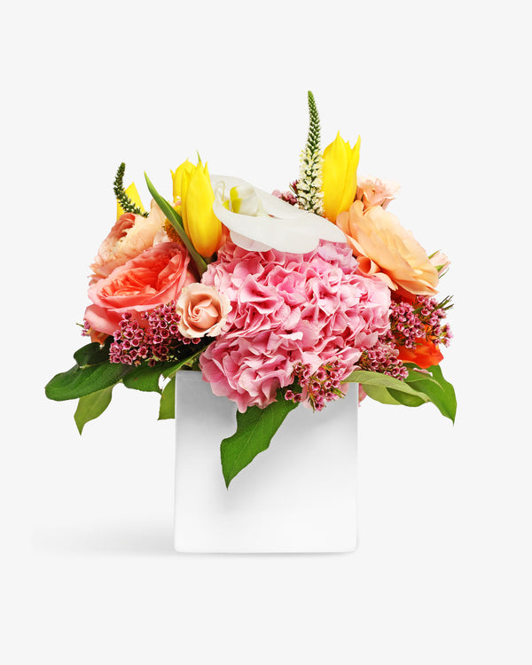 Mama Mia Arrangement | PRESCH Petals Mothers Day Flower Delivery Dallas 