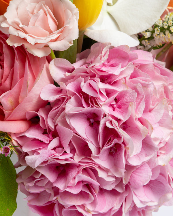 Mama Mia Arrangement | PRESCH Petals Mothers Day Flower Delivery Dallas 