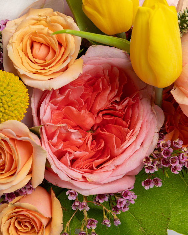 Mama Mia Arrangement | PRESCH Petals Mothers Day Flower Delivery Dallas 