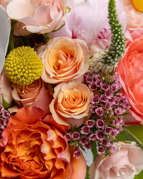 Mama Mia Arrangement | PRESCH Petals Mothers Day Flower Delivery Dallas 
