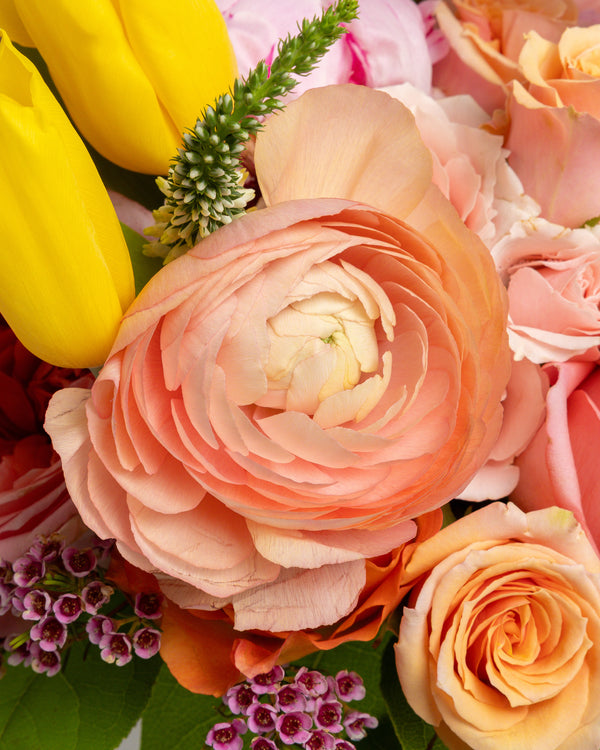 Mama Mia Arrangement | PRESCH Petals Mothers Day Flower Delivery Dallas 