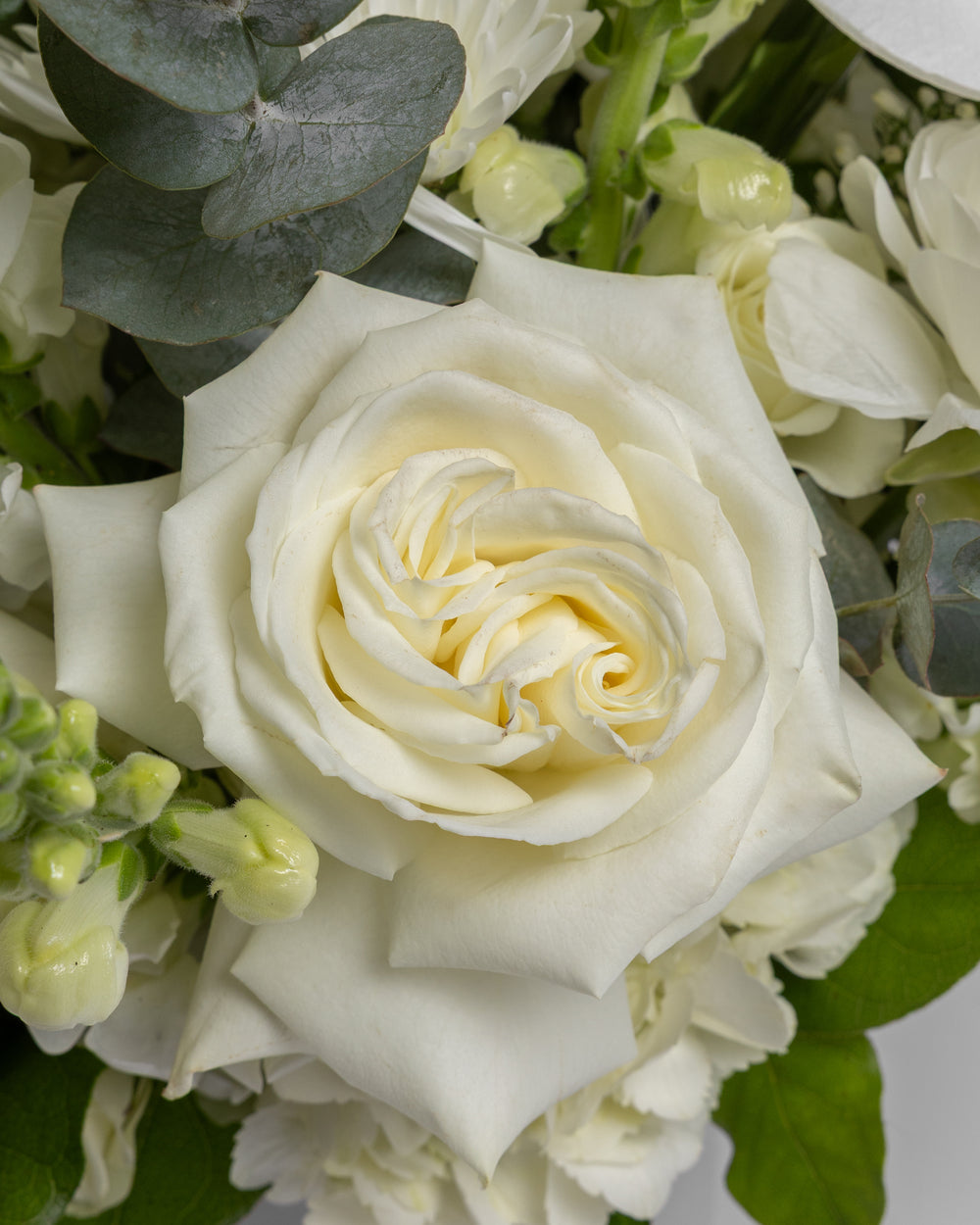 Sympathy Arrangement | Presch Petals | Funeral & Sympathy Flowers Dallas