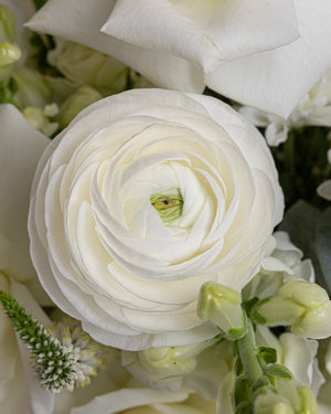 Sympathy Arrangement | Presch Petals | Funeral & Sympathy Flowers Dallas