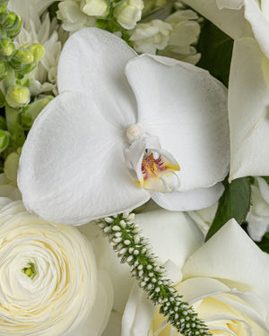 Sympathy Arrangement | Presch Petals | Funeral & Sympathy Flowers Dallas