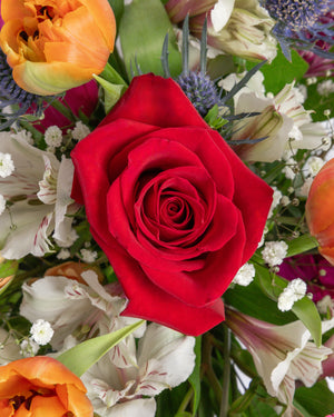 More Than Friends Arrangement | Presch Petals Highland Park Florist