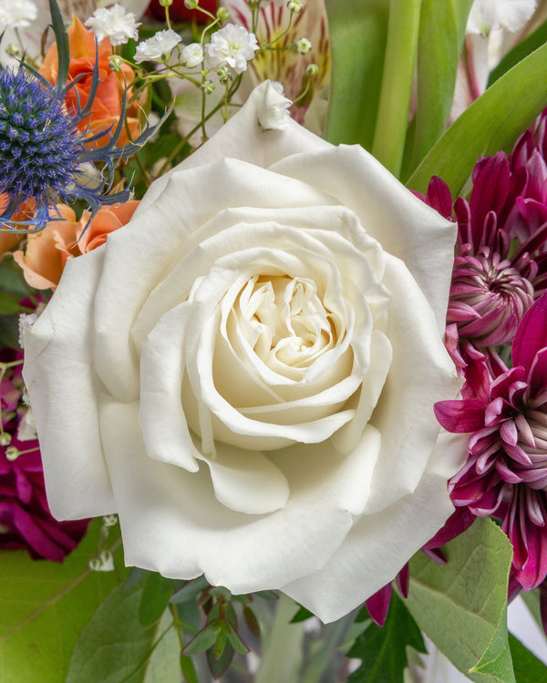 More Than Friends Arrangement | Presch Petals Highland Park Florist