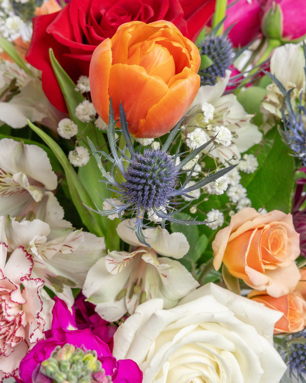 More Than Friends Arrangement | Presch Petals Highland Park Florist