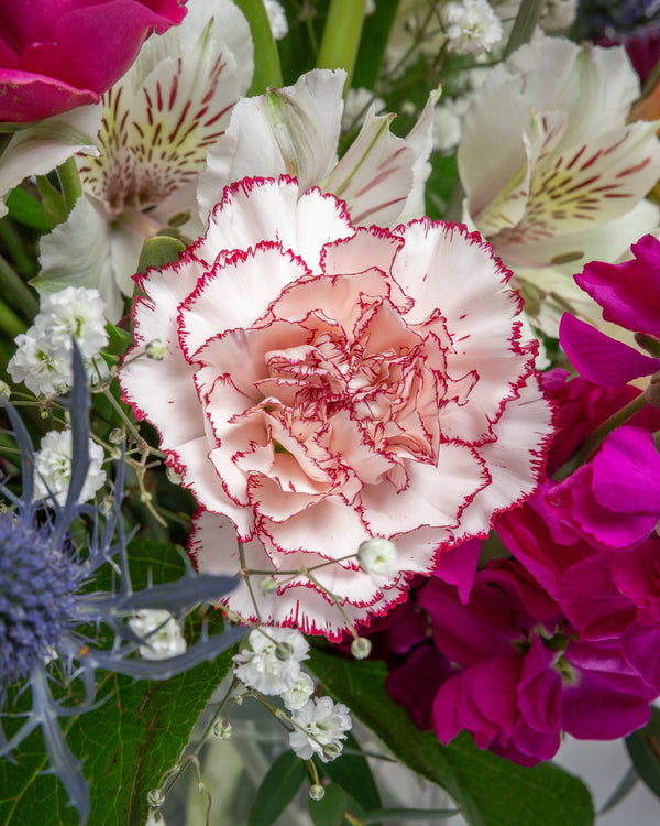 More Than Friends Arrangement | Presch Petals Highland Park Florist